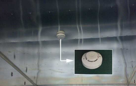 �x�ӸП����(z��i)̽�y(c��)��